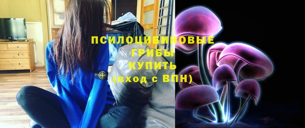 тгк Бородино