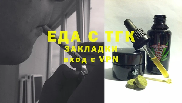 тгк Бородино