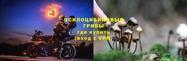 тгк Бородино