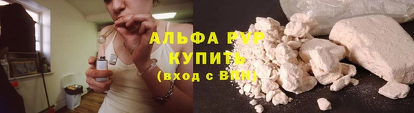 тгк Бородино