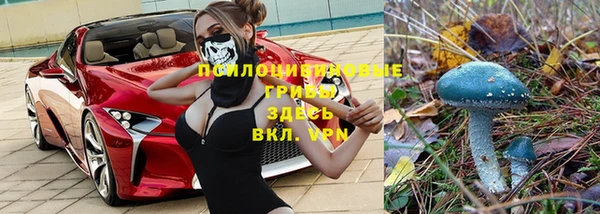 тгк Бородино