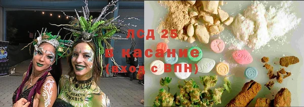 тгк Бородино