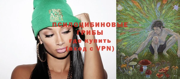 тгк Бородино