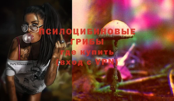тгк Бородино