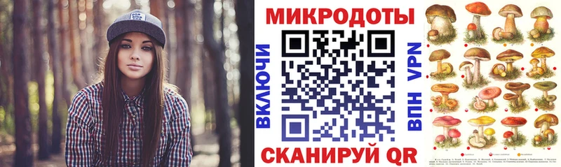 площадка клад  Городище  Псилоцибиновые грибы Magic Shrooms 
